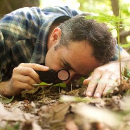 Carolina Mountains Literary Festival Names Author David Haskell Keynote Speaker