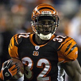 Rudi Johnson