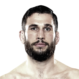 Amir Sadollah