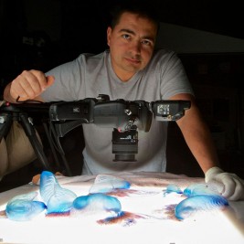 Aaron Ansarov  Image