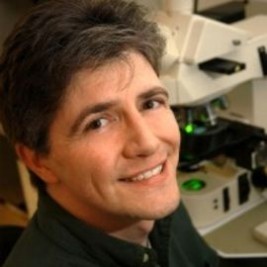 Dr. Matthew Breen Mani Image