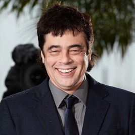 Benicio Del Toro