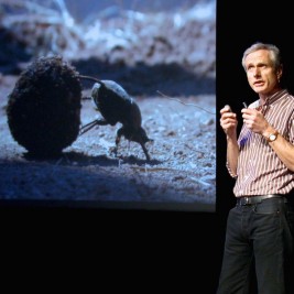 Marcus Byrne